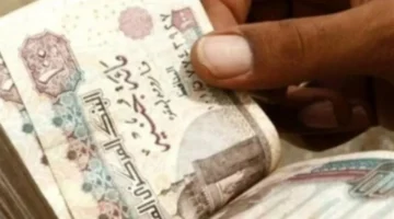 موعد تطبيق زيادة الرواتب الجديدة ضمن خطة وزارة المالية في يوليو 2026